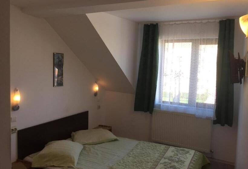 فندق Pensiune Turist