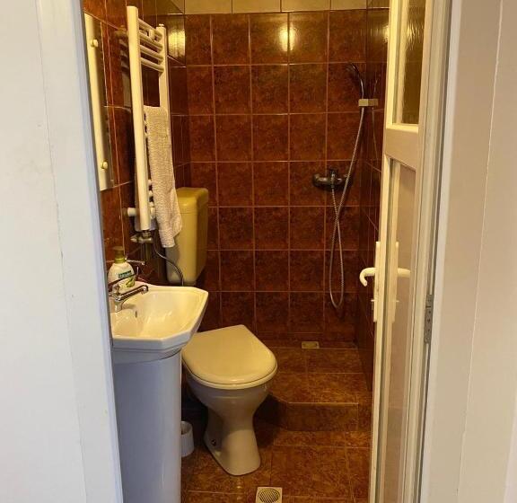 فندق Pensiune Turist