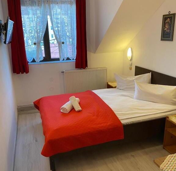 فندق Pensiune Turist