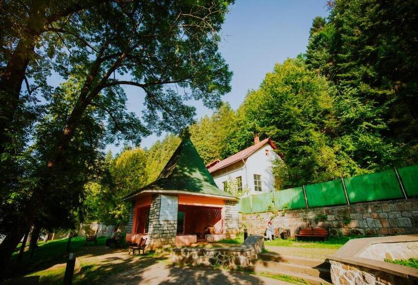 בית מלון כפרי Tusnad