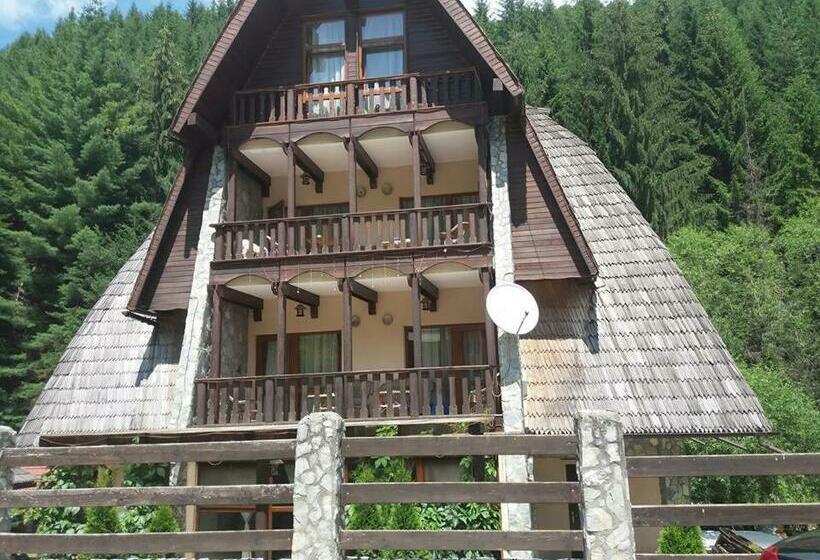 ホテル Vila Ursul