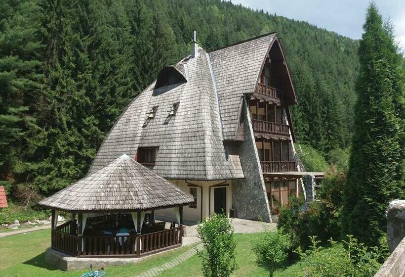 ホテル Vila Ursul