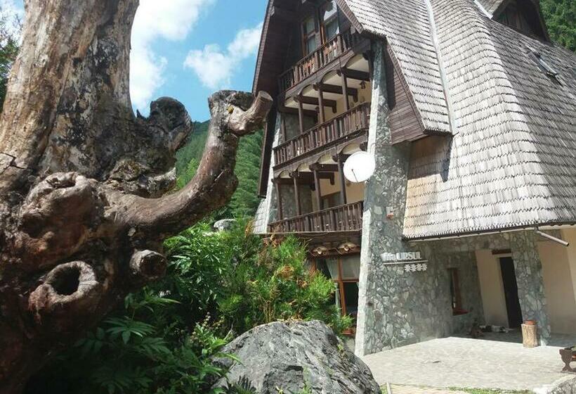 ホテル Vila Ursul