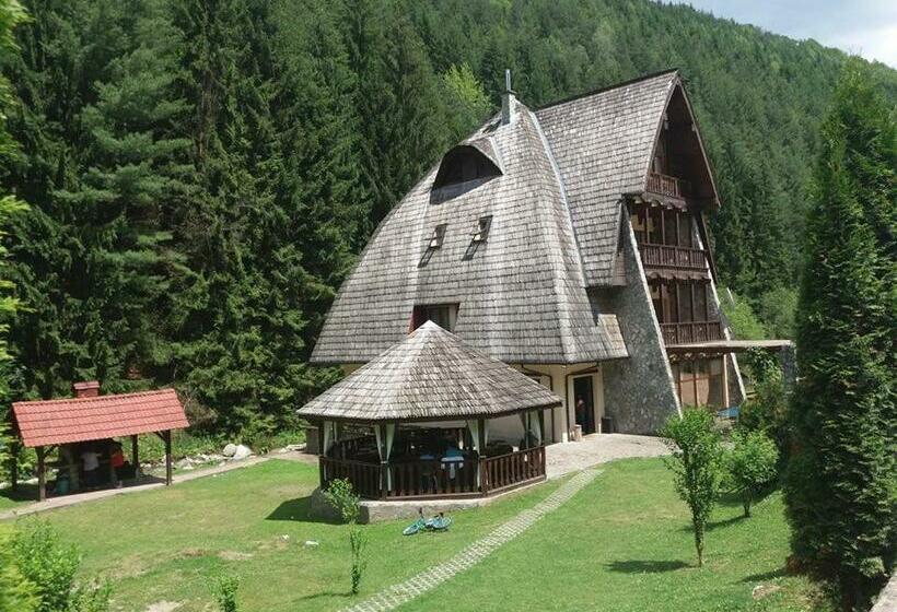 ホテル Vila Ursul