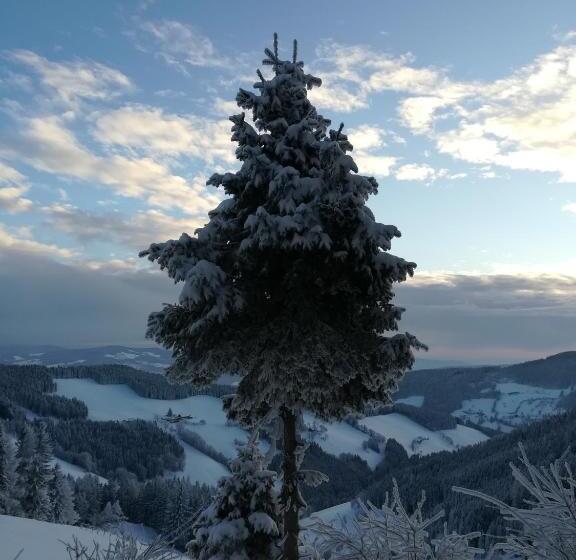 Landhotel Restaurant Willingshofer