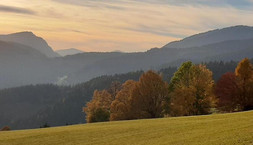 Landhotel Restaurant Willingshofer