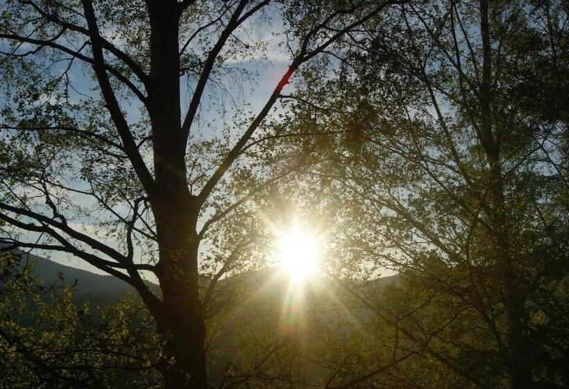 Landhotel Restaurant Willingshofer