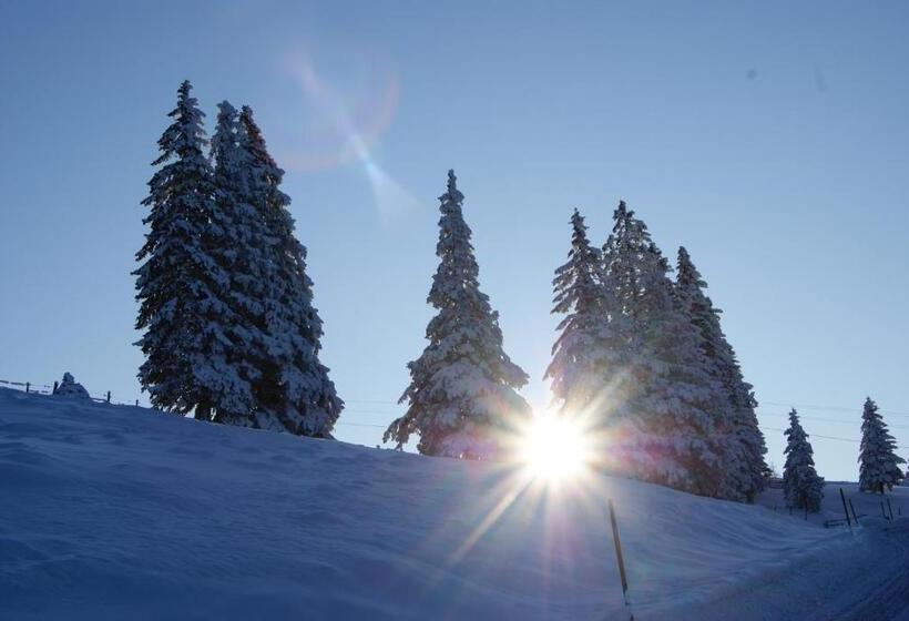 Landhotel Restaurant Willingshofer