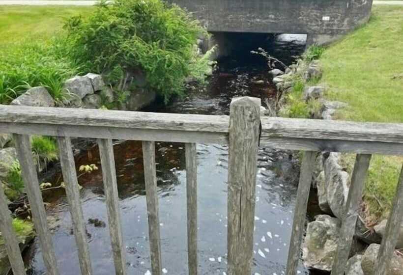 Mackenzie Motel & Cottages