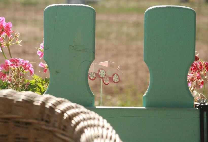 פנסיון Frăgăria