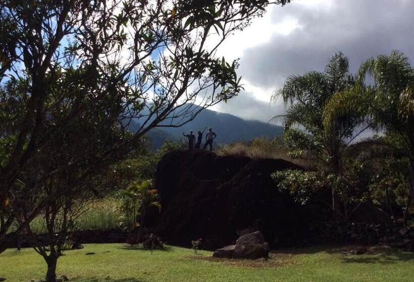 膳宿费 Pousada Sítio Da Luzia