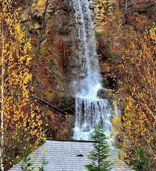 펜션 Păstrăvăria Alex