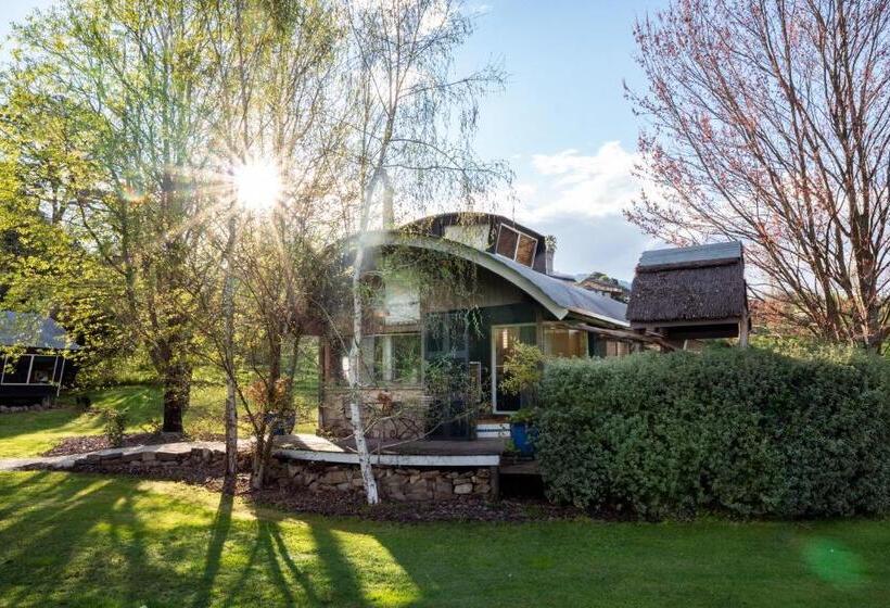 אתר נופש Dreamers