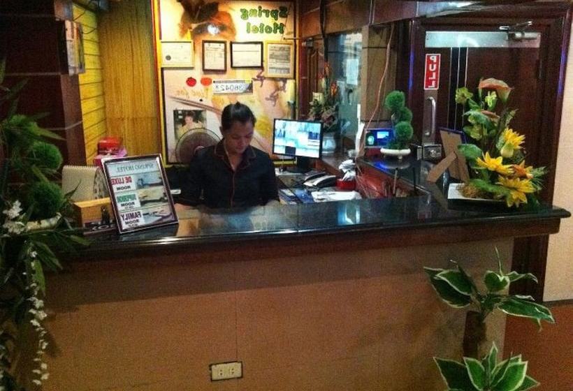 Отель Oyo 640 Spring