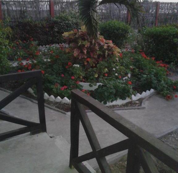 Общежитие Cabañas El Manglar