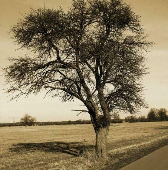 호스텔 Landhotel Eichenkrug