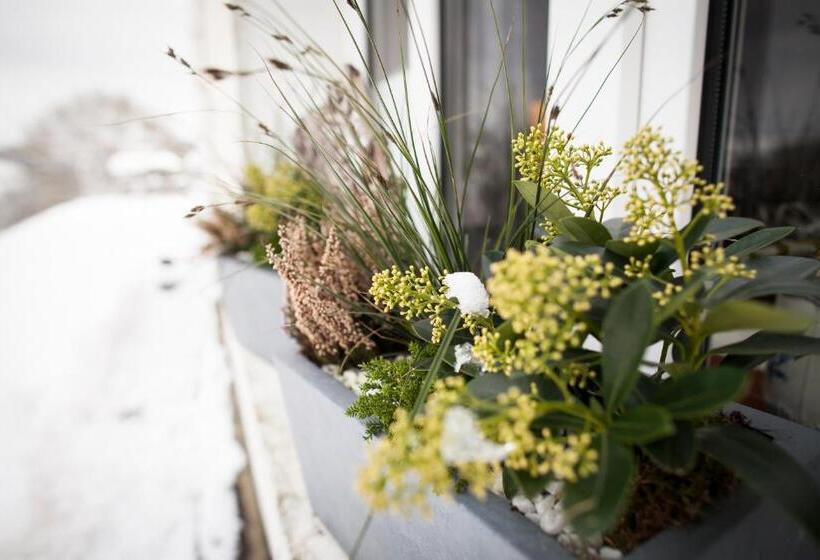 B&b Le Verger Du Pierroy