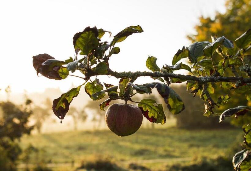 B&b Le Verger Du Pierroy