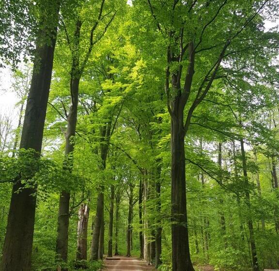 تختخواب و صبحانه Boslucht Leuven