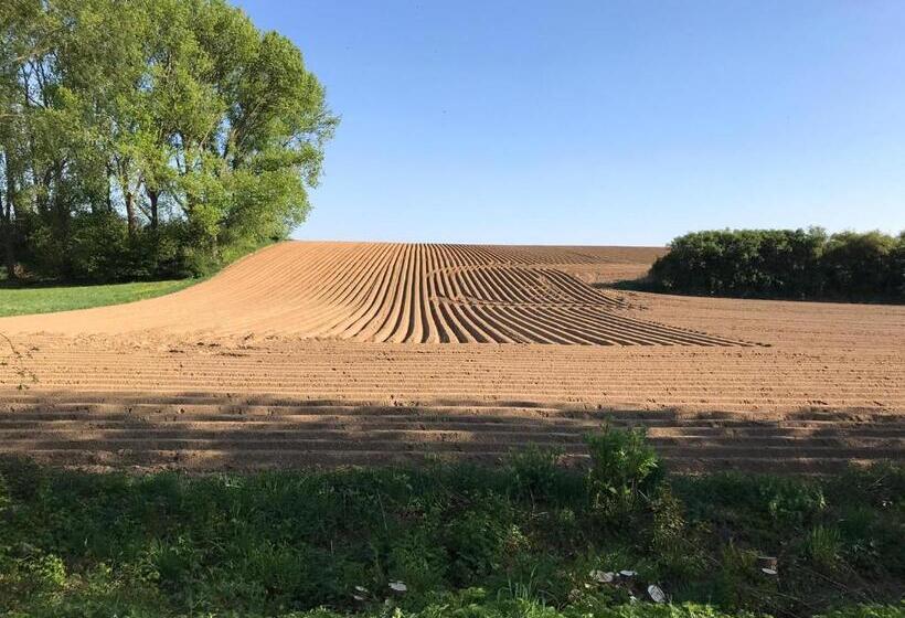 تختخواب و صبحانه Boslucht Leuven