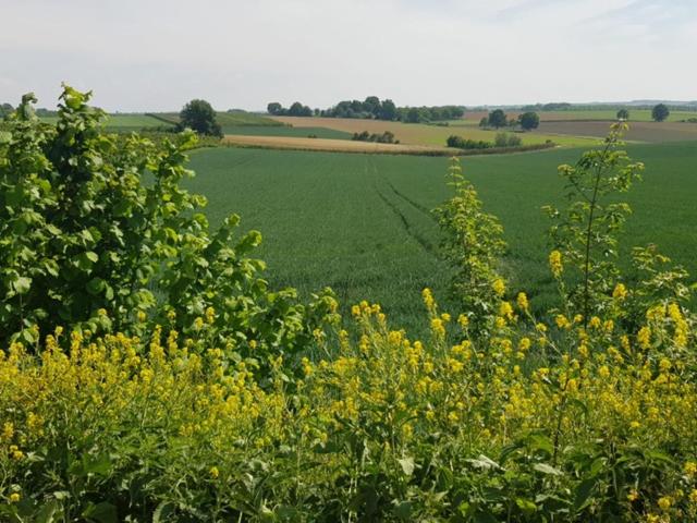 مبيت وإفطار Boslucht Leuven