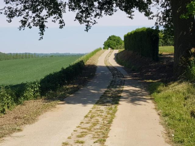 تختخواب و صبحانه Boslucht Leuven
