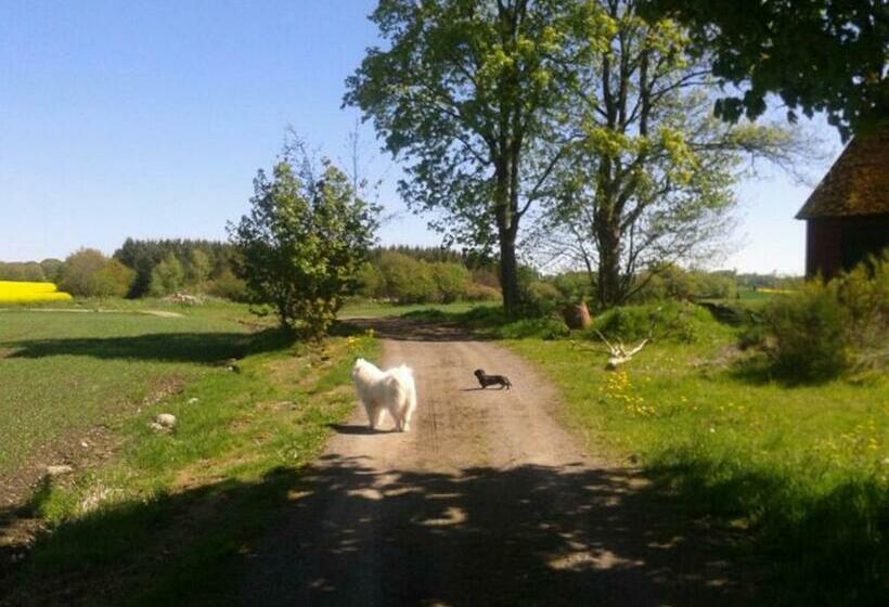 Bed and Breakfast Stora Topphem