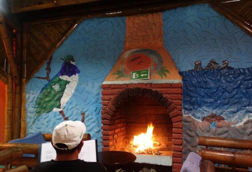 Bed and Breakfast Wipeout Cabaña Restaurant