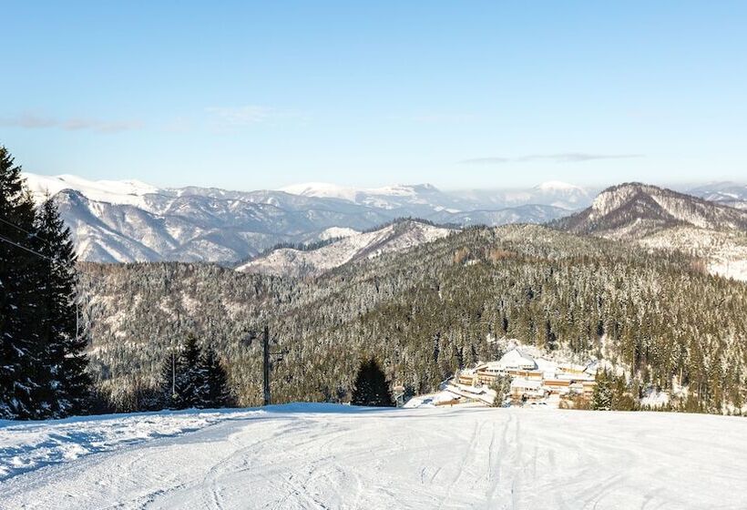 Отель šachtička