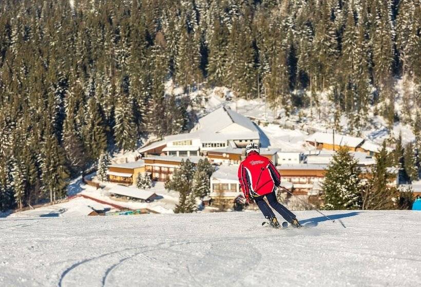 Отель šachtička