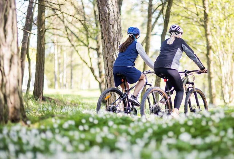 호텔 Gumbalde Resort