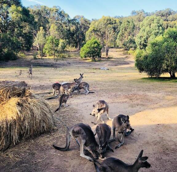 בית מלון כפרי Hilltop Tiny House By Tiny Away
