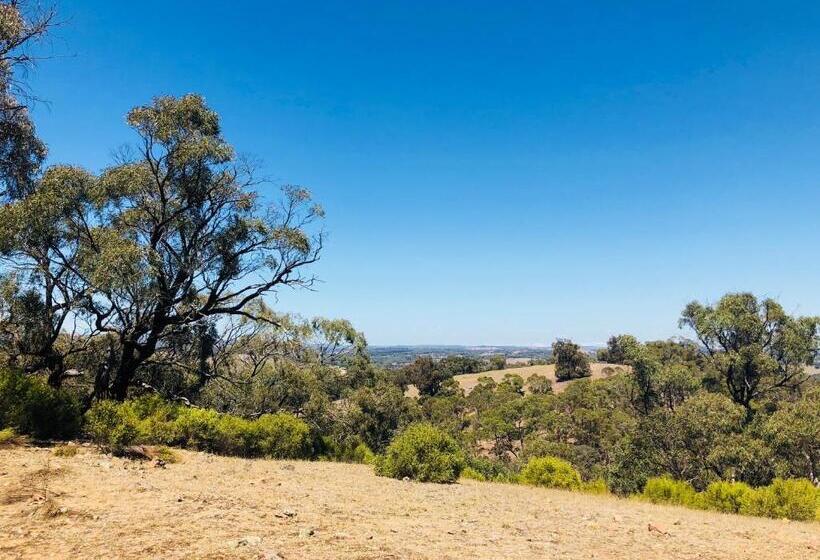 בית מלון כפרי Hilltop Tiny House By Tiny Away