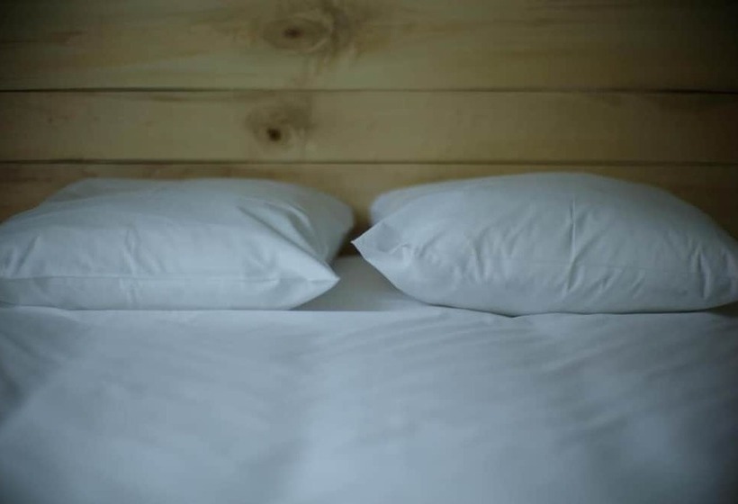 酒店 Hôtel Restaurant Le Parisien