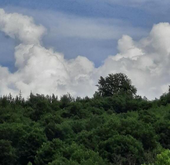 בית מלון כפרי Pensiunea Maria Elena