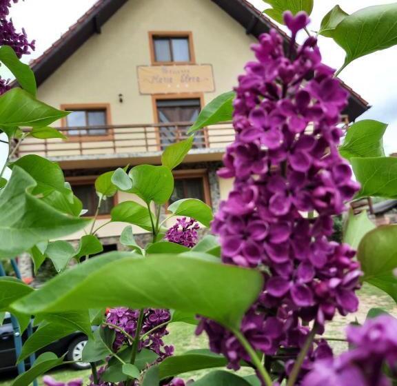 בית מלון כפרי Pensiunea Maria Elena