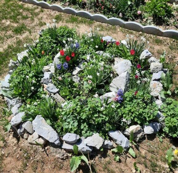 בית מלון כפרי Pensiunea Maria Elena