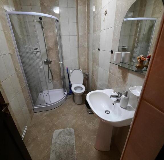 בית מלון כפרי Pensiunea Maria Elena