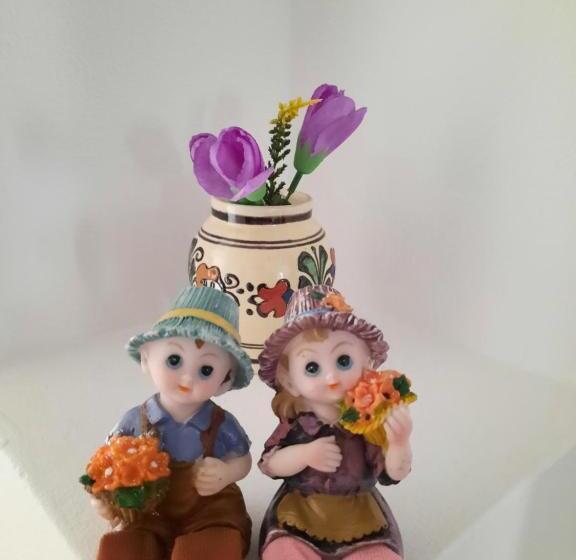 בית מלון כפרי Pensiunea Maria Elena