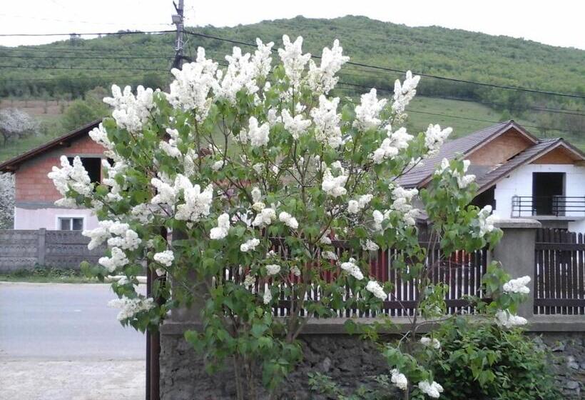 בית מלון כפרי Pensiunea Maria Elena