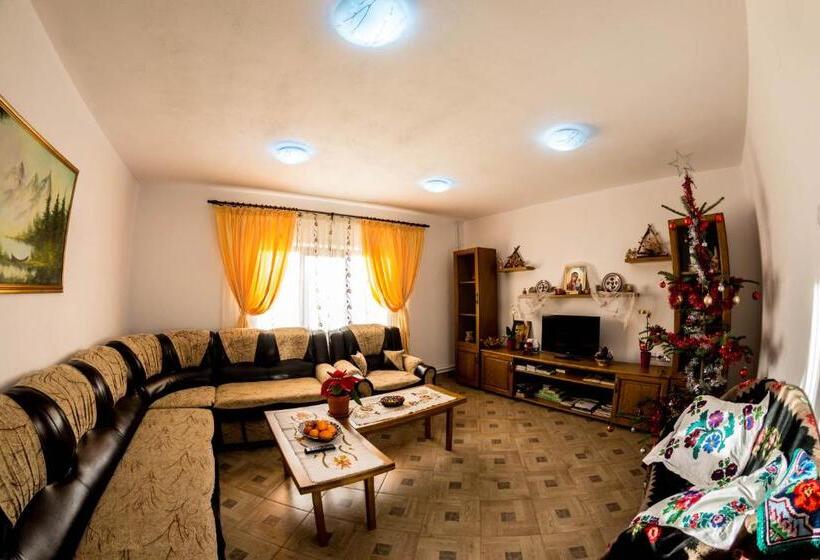 בית מלון כפרי Pensiunea Maria Elena