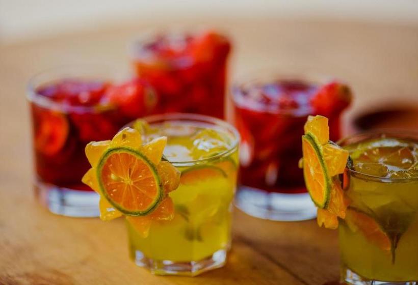 酒店 Santa Rosa Pantanal