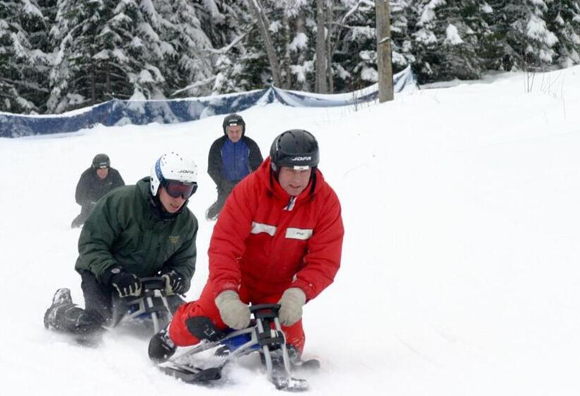 Stf Hotel & Hostel Persåsen