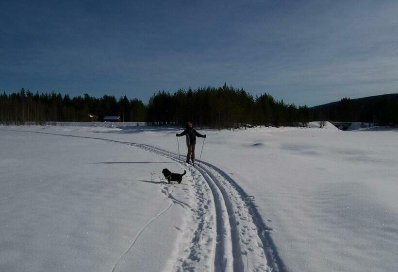 Nya Skogsgården Hostel
