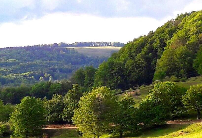 بنسيون Casa Din Piatra