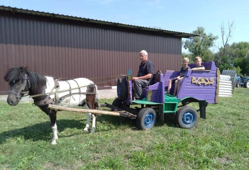 פנסיון Fisherman's House