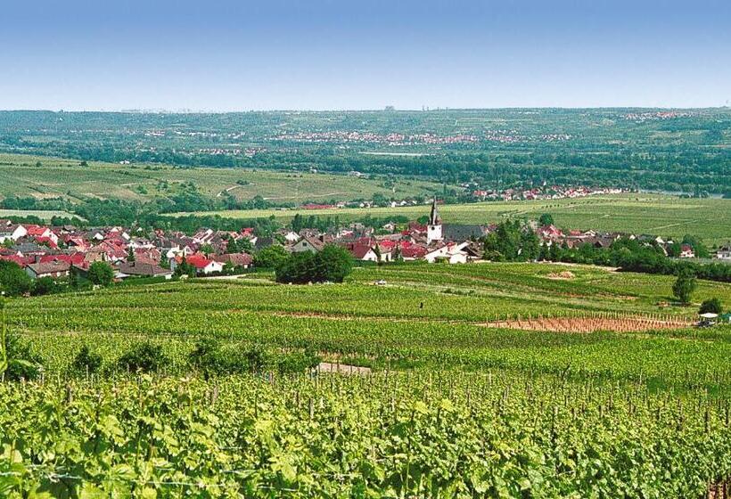 膳宿费 Gästezimmer Hans Norbert Mack