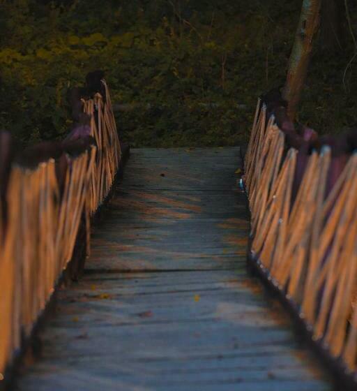 Пансион La Ferma Veche Bogdana