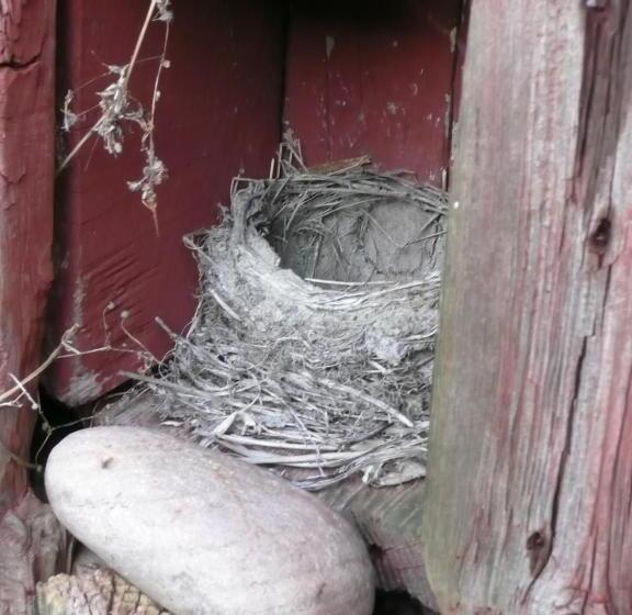 פנסיון Swedish Idyll