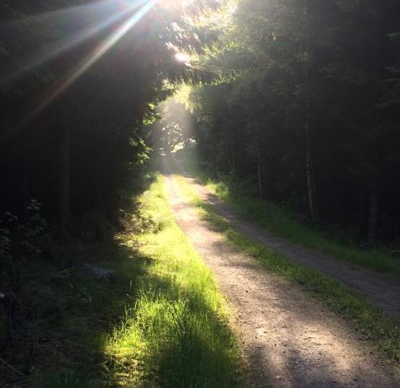 פנסיון Swedish Idyll